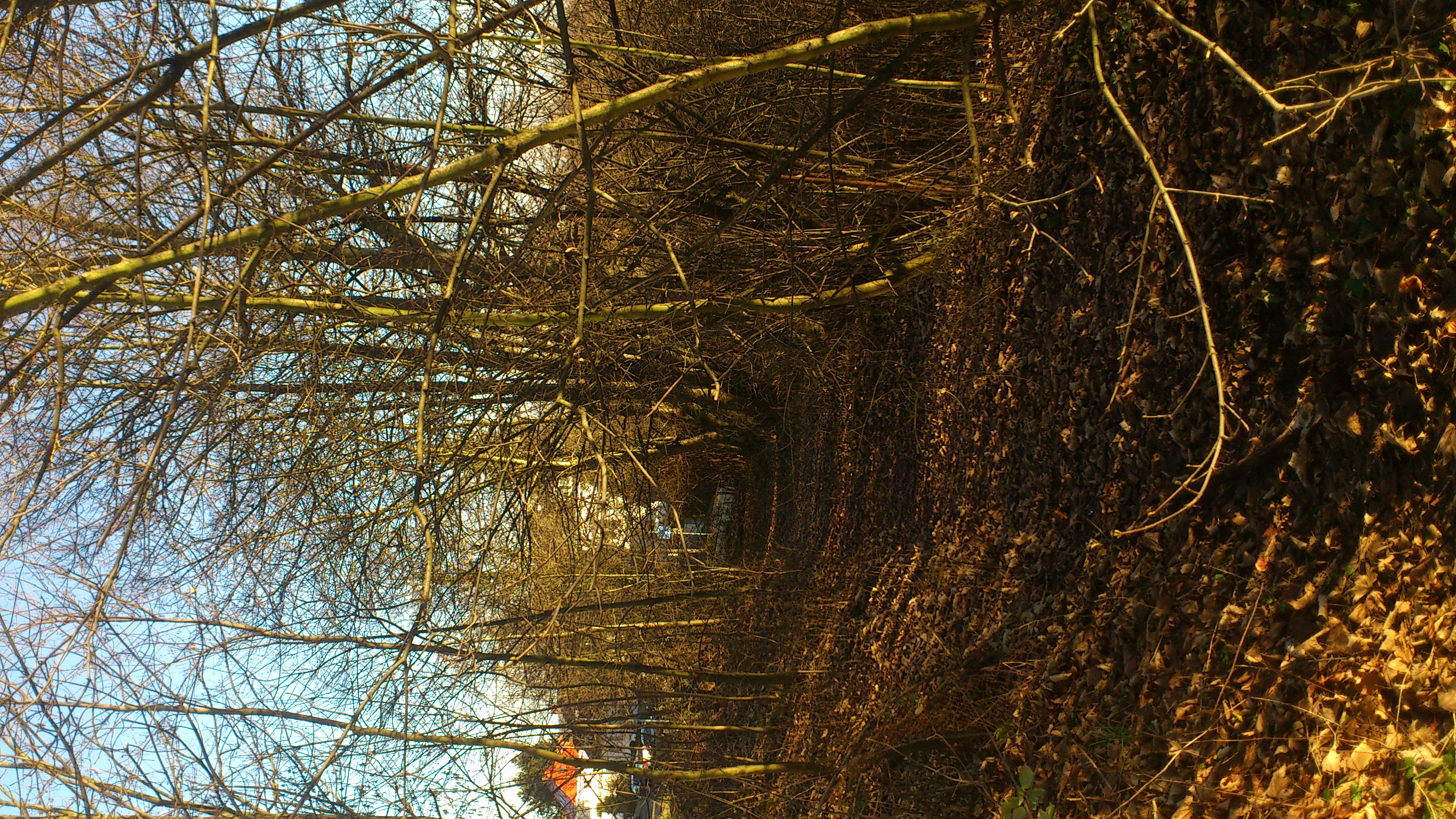 Historischer Weg Maihälden - Aufgenommen von Maurice Ravel Straße, Blick Richtung Südost